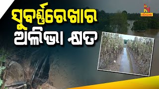 ବନ୍ୟା ଆସିଲା , ଧୋଇ ନେଲା ଲଳିତା ଚାଷ | NandighoshaTV