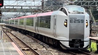 E259系特急成田エクスプレス号がミュージックホーンを鳴らしながら津田沼駅を通過