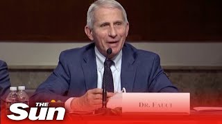 'What a moron' HOT mic catches Dr Fauci insulting GOP Senator