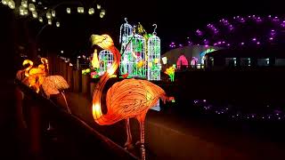 Year of the Dragon Lantern Festival (Biodome, Budapest, 2023)