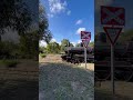 trains am22 steamranger heritage railway steam locomotive rx224 at goolwa s australia 19 04 23