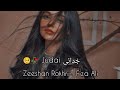 #Judai #ZeeshanRokhri - #Fiza Ali | Slowed + Reverb