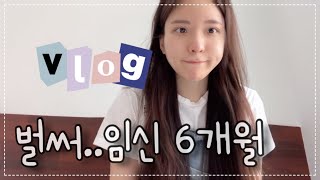 임신중기 VLOG | 임신 22주 | 6개월 임산부 일상 | 벌써 6개월이라니..?