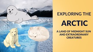 Exploring the Arctic: A Land of Midnight Sun and Extraordinary Creatures