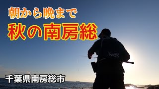 【青物を夢見て】「朝まずめと夕まずめに同一場所で大物を狙う」 2022年11月12日 千葉県勝南房総市の漁港・岩場・サーフ