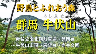 【登山】絶景の展望台あり 牛伏山♪しっかり登れて ゆっくりできる公園もあります(^^)/(群馬県 高崎市）