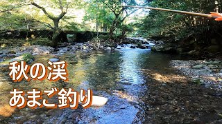 秋の渓 あまご釣り【渓流釣り】