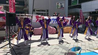 元気ハツラツフェスタ「ど～んとcocode踊らん会」さん(よっちょれ)