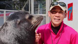 HamaTube始動！お家で楽しもう桂浜水族館！