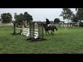 fellside red dane dc and 7th 1.10 on grass hickstead july 2019