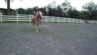 M4H06045.MP4