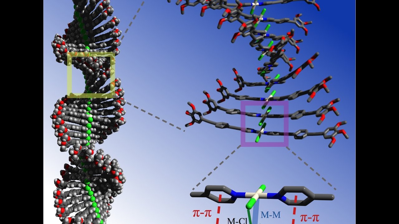 Applications Of Molecular Modeling At Lori Chambers Blog