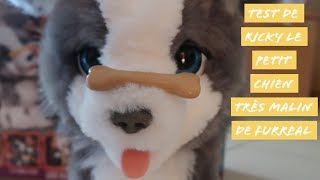 furreal friends chien ricky