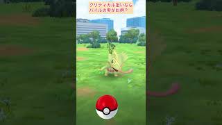 【難易度低】カクレオンクリティカルゲット【ポケモンGO】