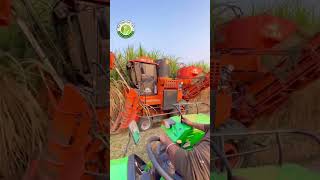 Sugarcane harvester #riar_sugarcane_farm