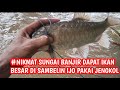 #NIKMAT SUNGAI BANJIR DAPAT IKAN BESAR DI SAMBELIN IJO PAKAI JENGKOL