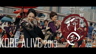 KOBE ALIVE 2019 ｜  阿国