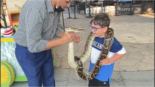 Yusuf gerçek dev piton yılanı 🐍 boynuna doladı😱 Yılan bacağına dolandı😫Aslan zürafa maymun gördü