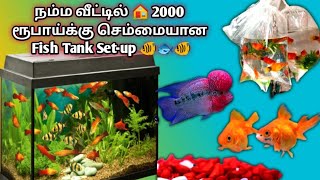 ரொம்ப நாள் ஆசை🐠🐟 அதிக செலவில்லாமல் மீன்தொட்டி Set-up and Care