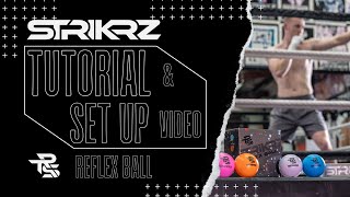 STRIKRZ Boxing Reflex Ball | Set Up \u0026 Tutorial 🥊