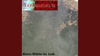 Blame Within the Leak