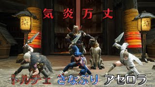 【MHRise】青いヒーローの頼れる相棒！ ハンマー×弓×弓 01'09\