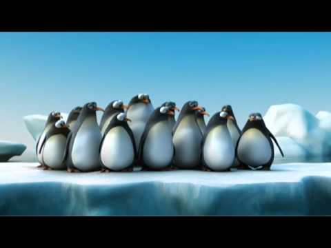 Pinguïns Youtube