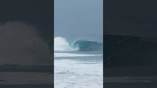 Wave of a Lifetime in San Diego! #surfing #waves #surf #sandiego #bigwaves