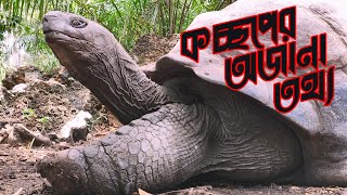 কচ্ছপের অজানা তথ্য - Unknown facts about turtles ।। অজানা তথ্য