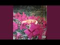 YahYahYah (feat. Allan Kingdom)