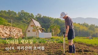 [쑤기네 세모집] 지리산의 초여름 vlog