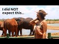 BEST hotels in Tsavo East & Tsavo West / My HONEST review / All Tsavo National park lodges