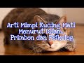 Arti Mimpi Kucing Mati Menurut Islam Primbon Dan Psikolog