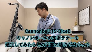 【定番のキャンノンボールT5-BiceBを吹いて分かったこと】Cannonball RAVEN Big Bell Stone Series