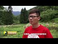 《深度财经》 蜜蜂：养在深山有人知 20180721 cctv财经