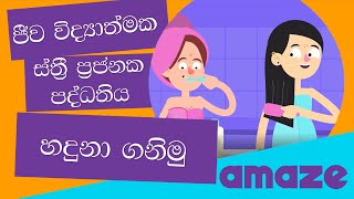 ජීව විද්‍යාත්මක ස්ත්‍රී ප්‍රජනන පද්ධිතිය හඳුනාගනිමු