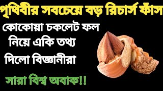 কোকোয়া চকলেট ফল খেলে কি হয় জানেন?বিজ্ঞানীরা এ ফল দিয়ে কি করছে দেখুন!!ফলাফল জানলে অবাক হবেন।।