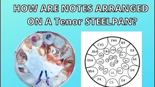 Learn the Note Layout Patterns of the Tenor Steelpan Steel Drum