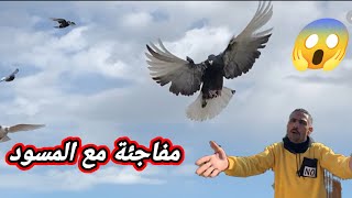 فتحت المسود الجديد وحصلت المفاجئة#التربووابوحازم