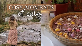 Cosy Moments Of Calm 🤎 Delicious Easter tart and quiet time in the wild | slow living silent vlog