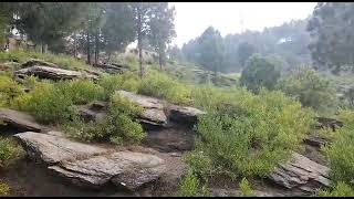 How to start a Vlog at  Cherat Village Thana in Malakand Division Khyber Pukhtoonkhwa !! B+ Vlogger