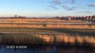 De eerste schaatser Oostzaan 2018