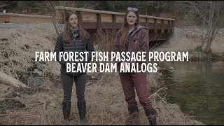 Farm Forest Fish Passage Program: Beaver Dam Analog Site Visit