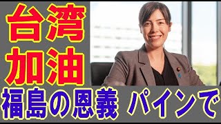 【海外の反応】 中国輸入停止にめげず、台湾屏東県産パイナップル、日本大手スーパーへの販売量倍増へ 2021年3月2日【ご案内版】