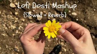 Lofi Dosti Mashup | Lofi [ Slowed & Reverb ] | Lofi Flip | Chillout Mix Song | Lofi Song | Music