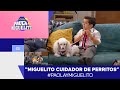 Miguelito cuidador de perritos / Paola y Miguelito / Mejores Momentos Capítulo 3