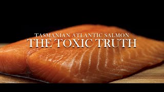 Tasmanian Atlantic Salmon, The Toxic Truth