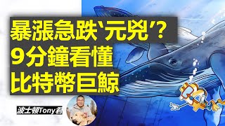 9分鐘看懂比特幣巨鯨，如何操縱加密貨幣？场外交易OTC，暴漲急跌操縱者？虛擬貨幣的莊家都有誰？比特幣，以太幣，狗狗幣無一倖免 All about Bitcoin and Cypto Whales