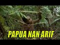 JEJAK PETUALANG | PAPUA NAN ARIF (06/10/21) Part 3