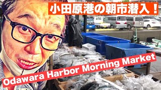 Amazing Odawara Harbor Morning Market/小田原・港の朝市に潜入！【日本の風景】【漁師】【観光】【グルメ】